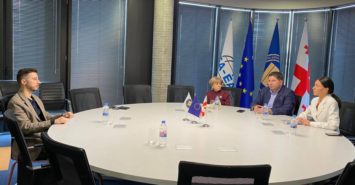 The Chairperson of the Georgian Bar Association Meets with UNDP ...